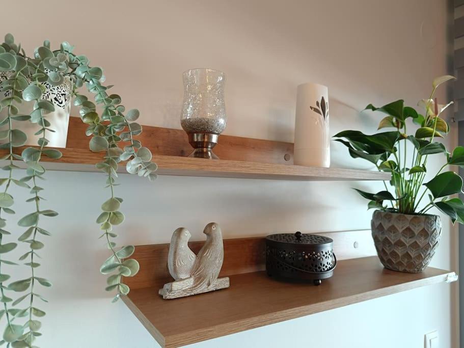 Sotherm Apartment แธร์มี ภายนอก รูปภาพ